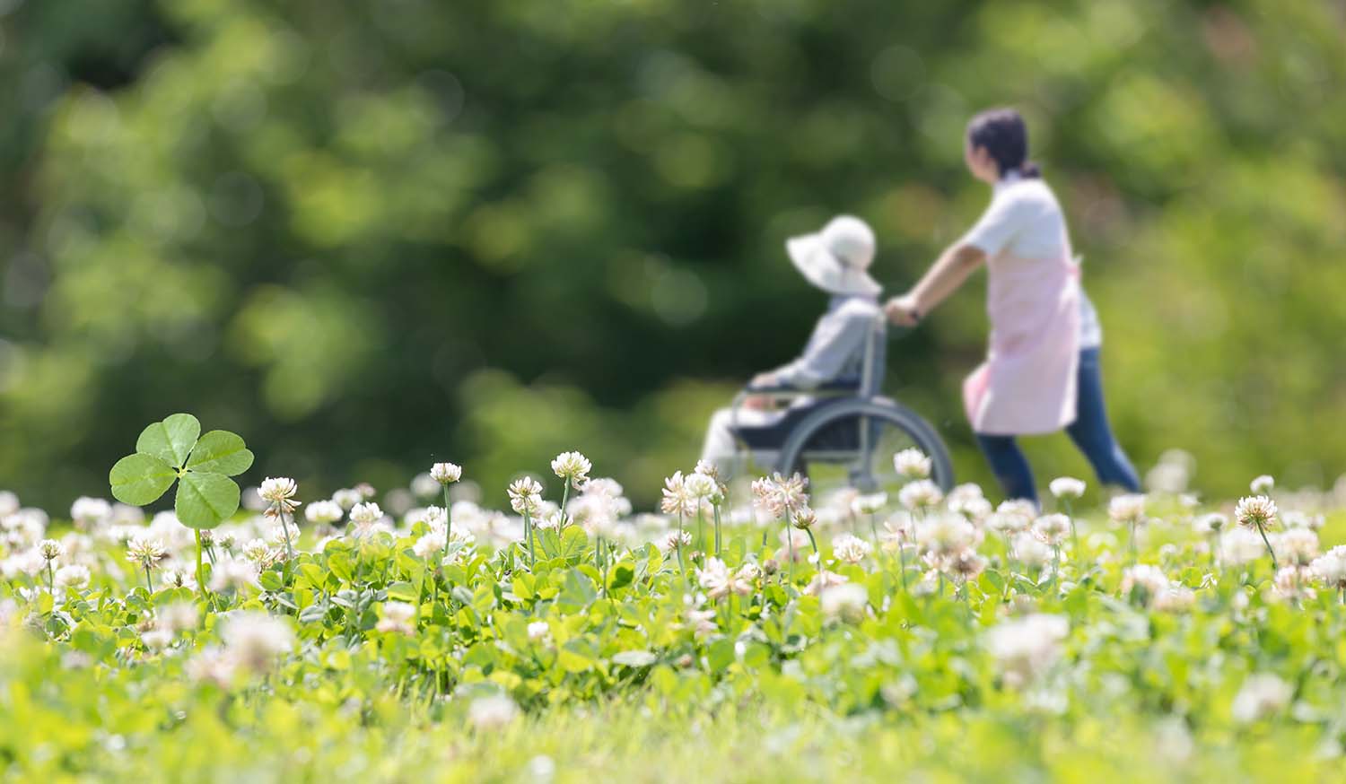 花畑の中で車椅子をおすスタッフ